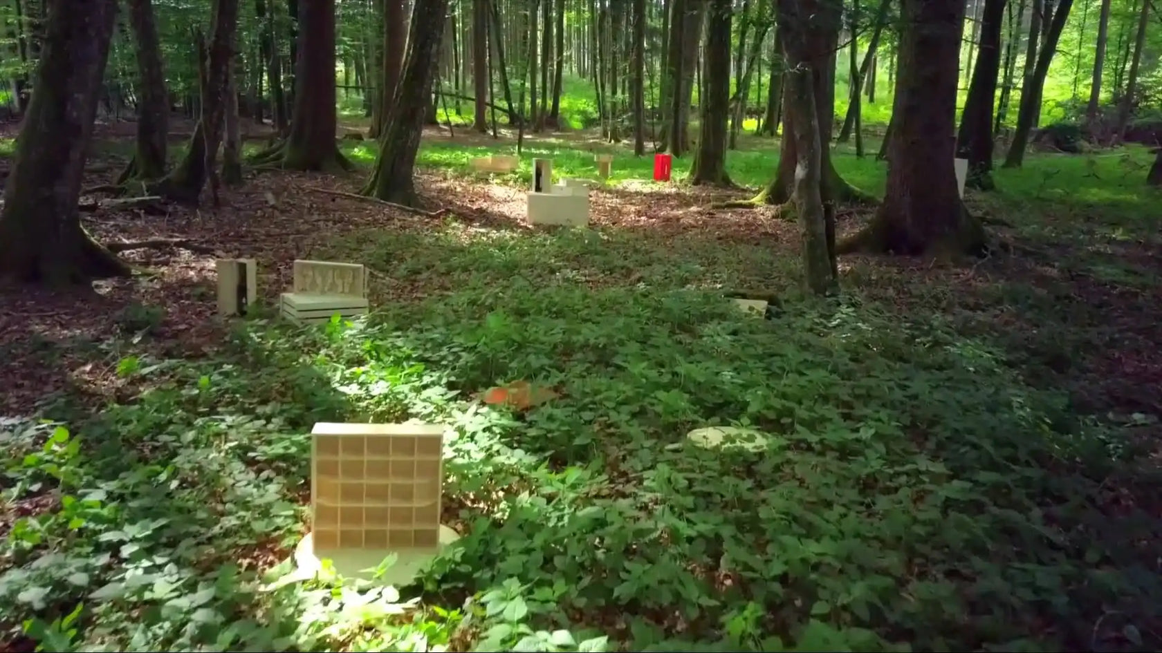 Mehrere quadratische Bienenkästen in hellen Farben in einer schattigen Waldumgebung.